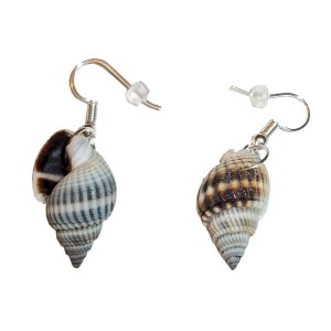 RTD-3998 : Pair of Spiral Shell Earrings at Texas Yard Sale . com