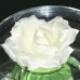 RTD-1434 : Floating White Roses 3-pc Set at Texas Yard Sale