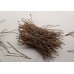 TYD-1200 : Dried Pine Needles Bundle at Texas Yard Sale . com