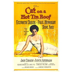 TYD-1077 : Cat on a Hot Tin Roof (VHS, 1958) at Texas Yard Sale . com